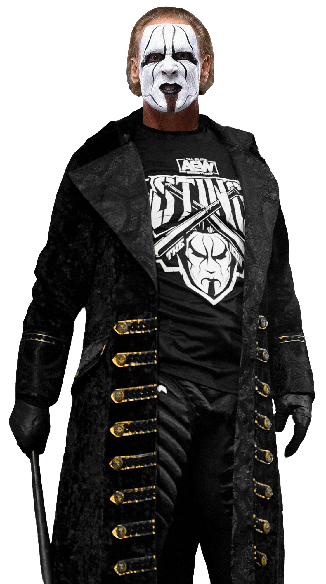 AEW EXCLUSIVE Sting 2023 by WWERenders2020 on DeviantArt
