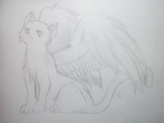 Cat With Wings