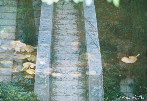 Columnar Deviantart Reflection of Columnar by cartomania on DeviantArt