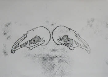 Rabbit Skull Monoprint.