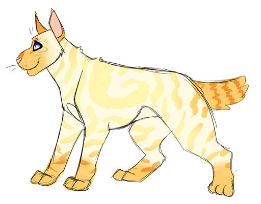 flame point cat