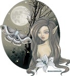 Nocturne by Lacrimadautunno