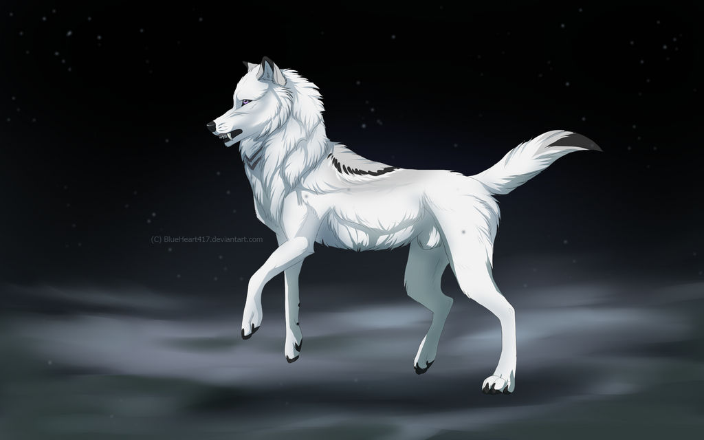 The White Wolf by BlueHeart417 on DeviantArt