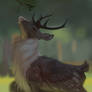 com deer