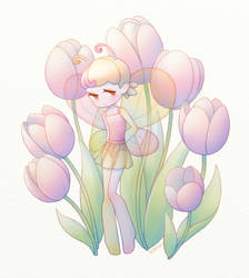 Fairy Tulip