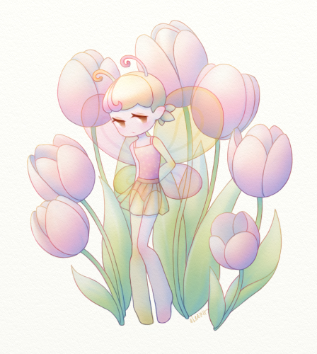 Fairy Tulip