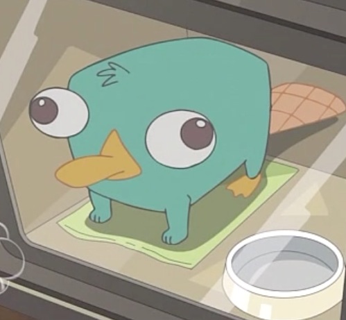 Perry The Platypus