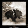 Death Angel