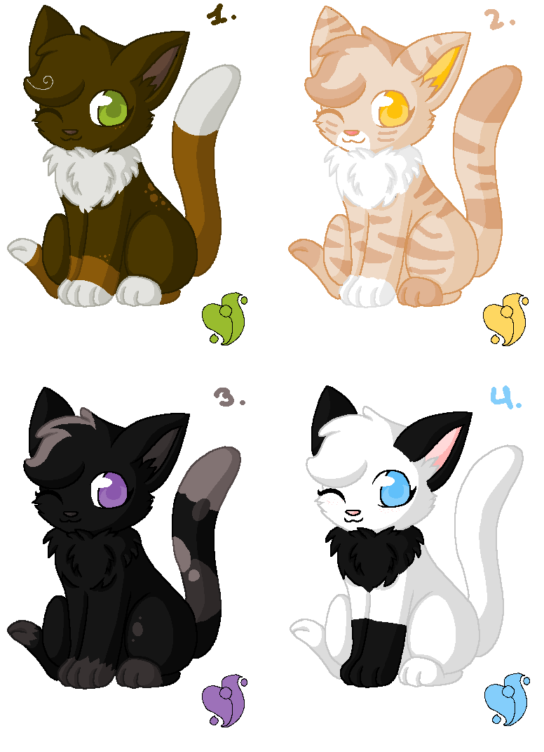 Cat Adoptables