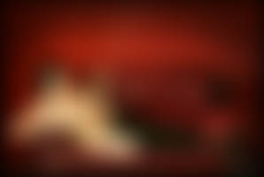 The portrait over the bar at the bordello ...