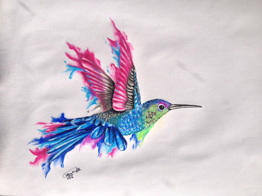 Hummingbird