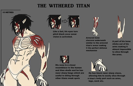 Attack on Titan (oc Design) by SKYNIGHT225 on DeviantArt