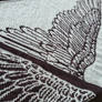 Wing Shawl for Vogue Knitting