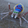 Maratus Volans (peacock)