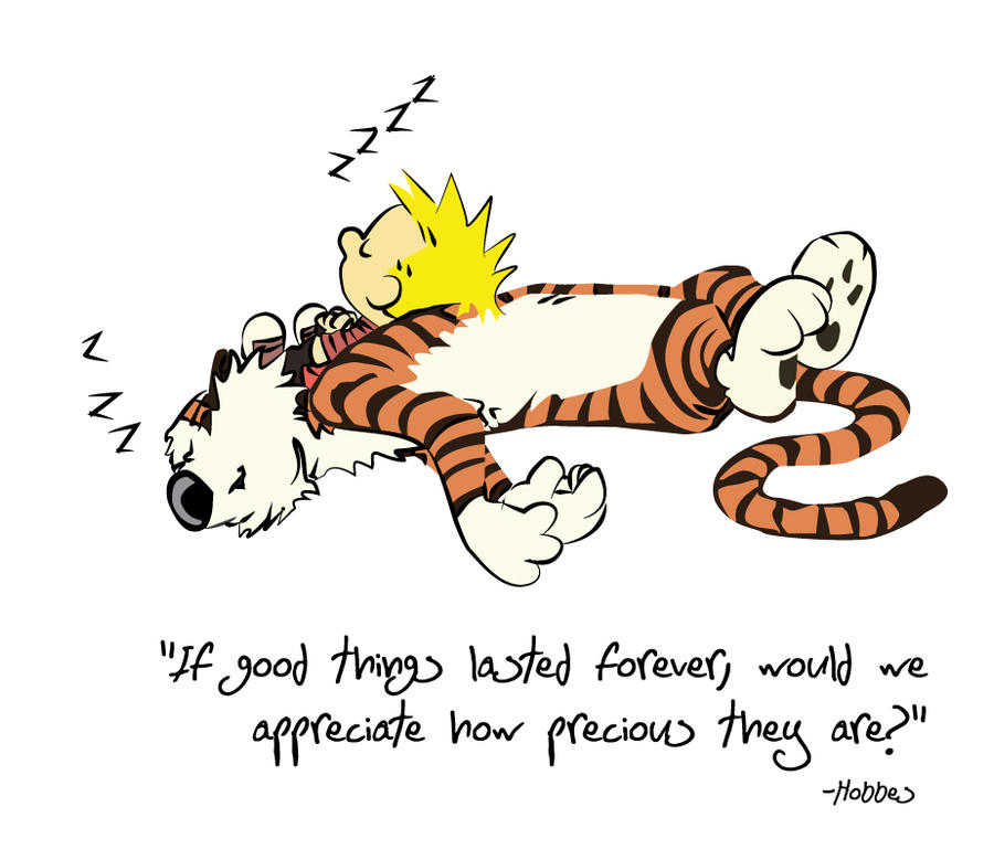 Hobbes Quote