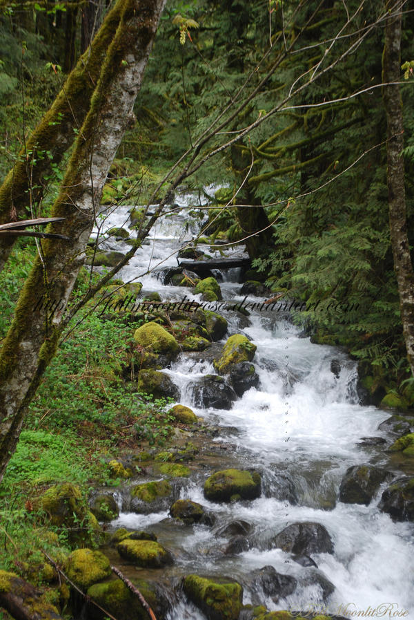 The Secret Way. by FallMoonlitRose on DeviantArt