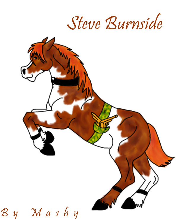 RE Ponies-Steve Burnside