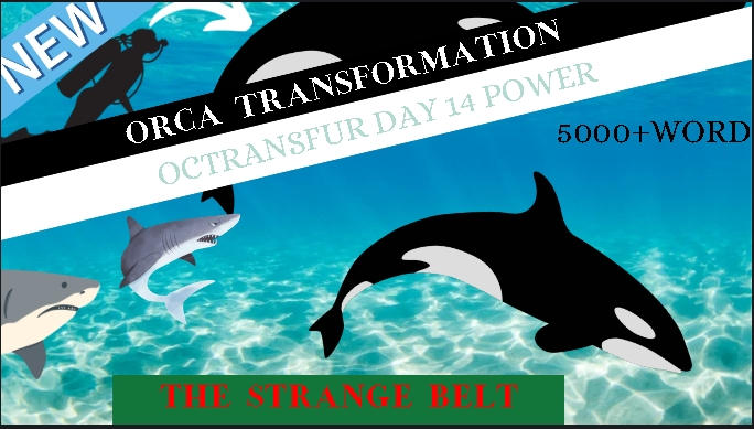 ORCA TRANSFORMATION (THE STRANGE BELT) by littlemrplay on DeviantArt