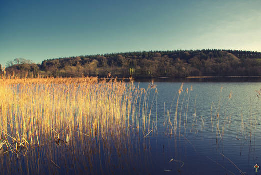 Blarney Lough