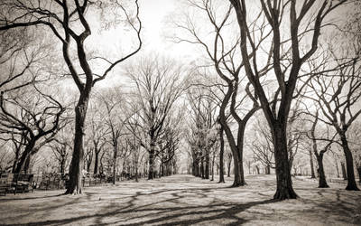 Central Park Haunting