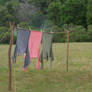 Civil War Stock: Clothesline