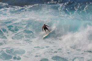 Hawaii Surfer Stock 1