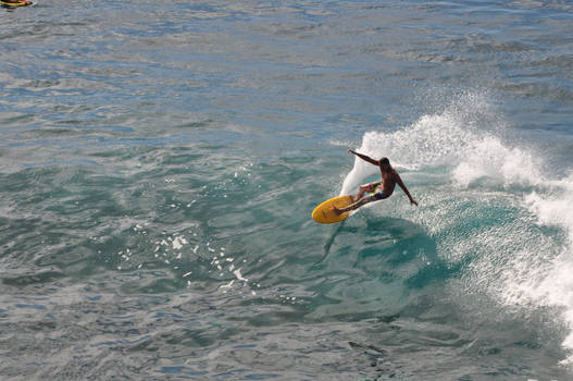 Hawaii Surfer Stock 7