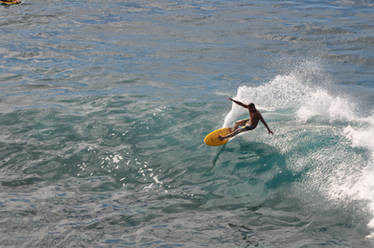 Hawaii Surfer Stock 7