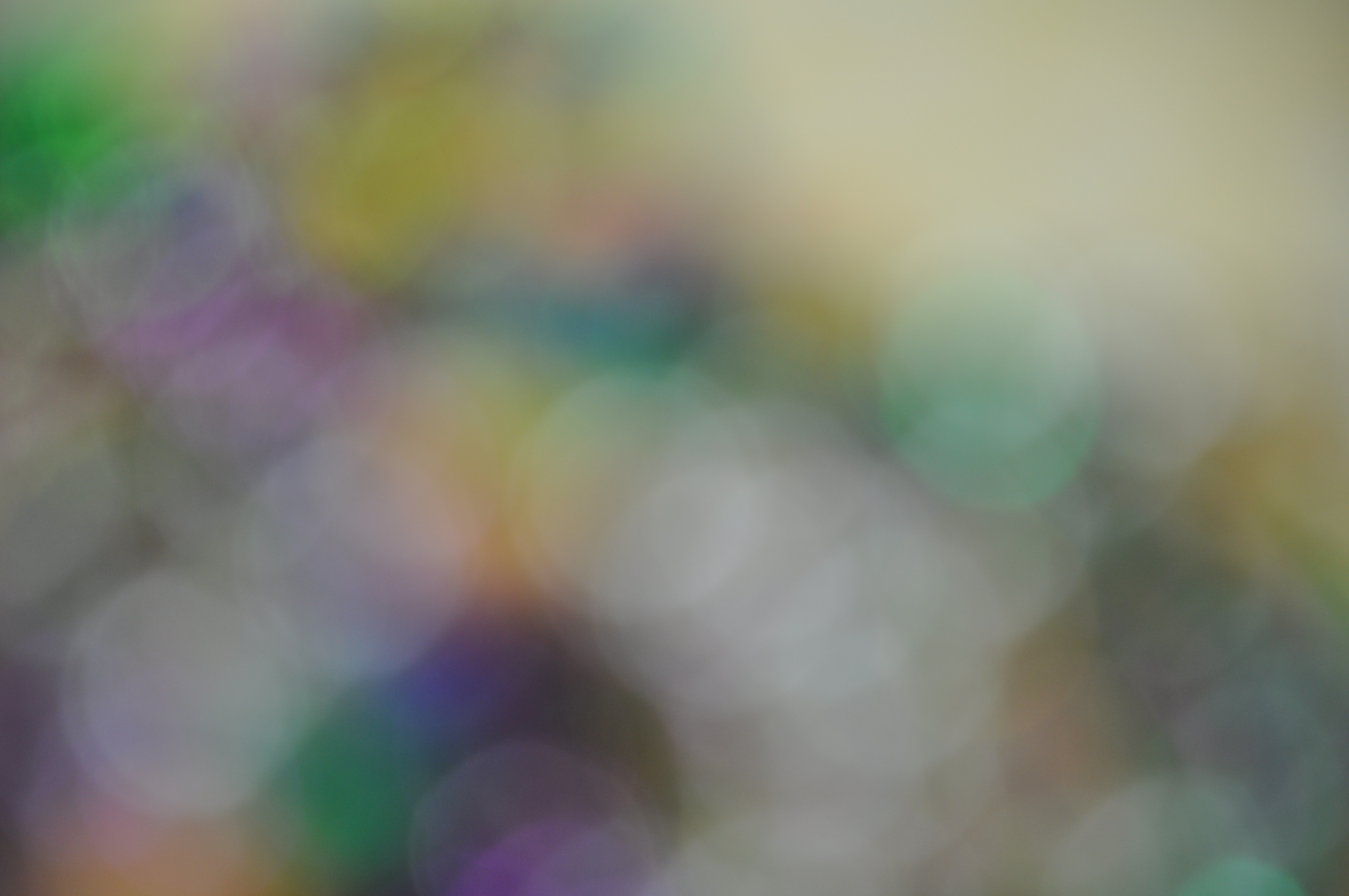 Mardi Gras Lens Blur 14