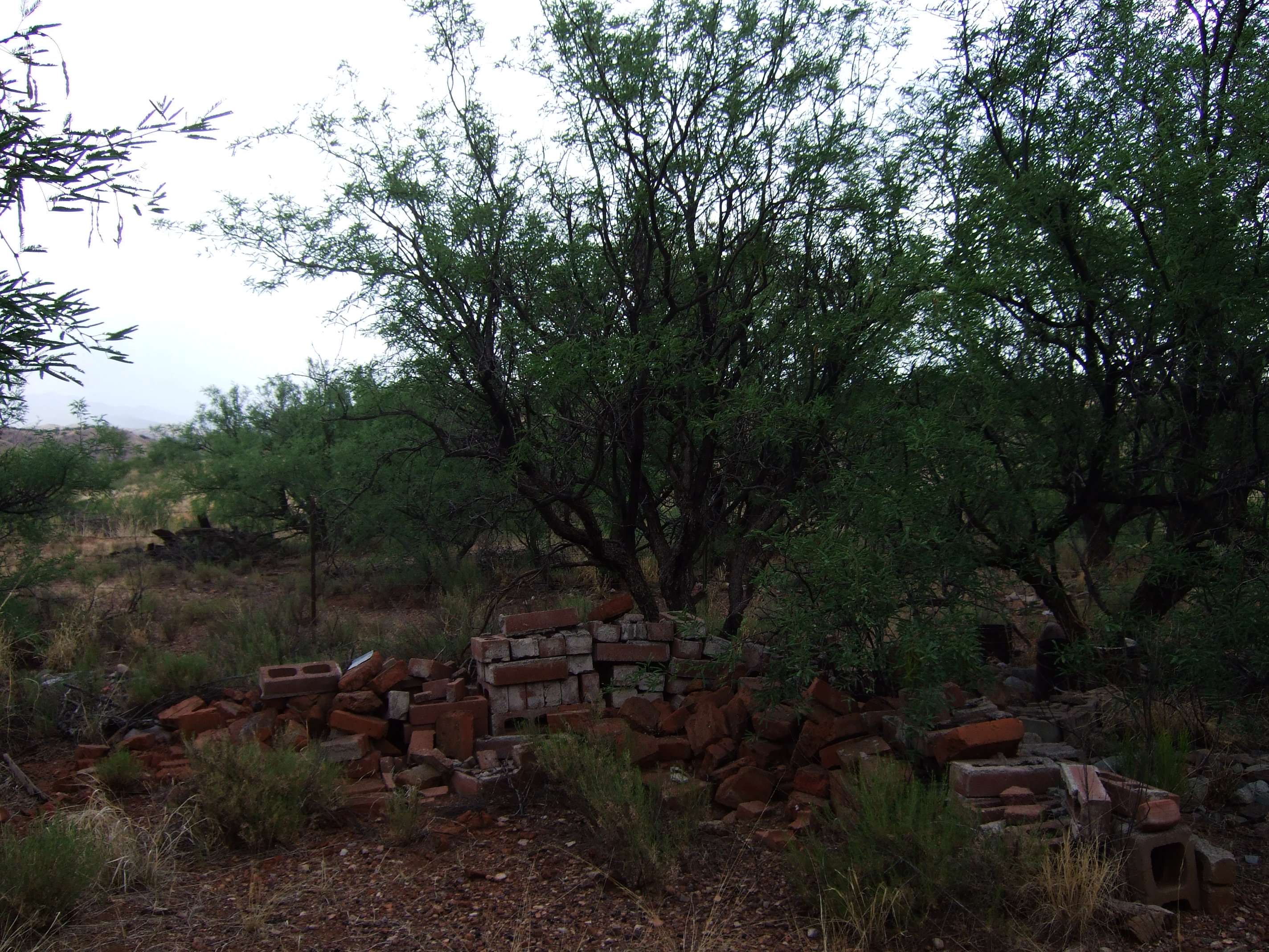 Patagonia Brick Pile