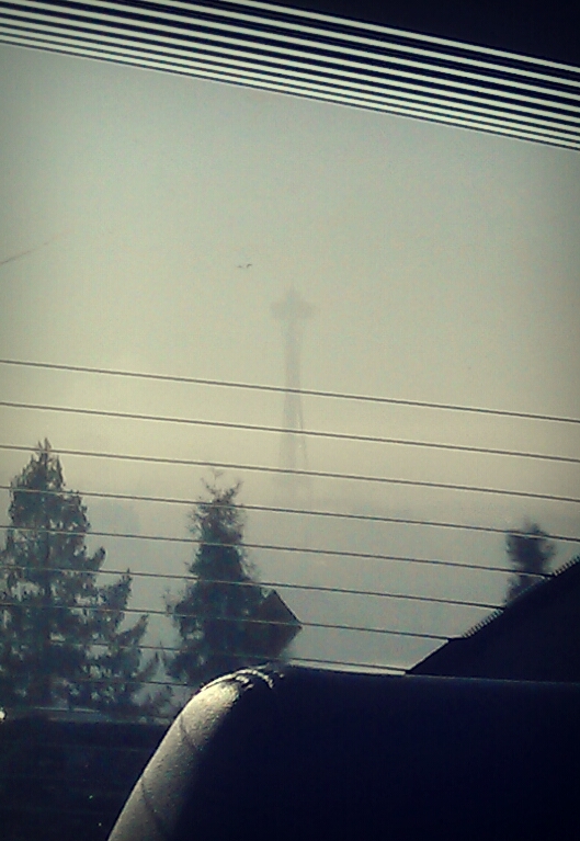 Foggy Needle