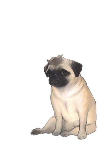 pug