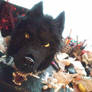 Almost there... - Werewolf Mask-