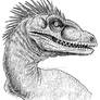 Raptor