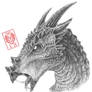 Dracorex