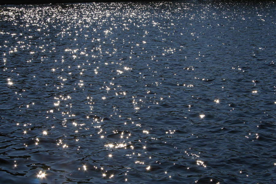 Sunstars on the Lake