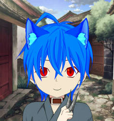 Shirogane Katsushika 