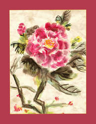 Chinese Painting - Peony