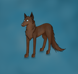 Brown Wolf