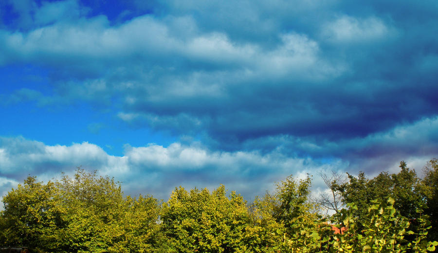 blue, blue sky above