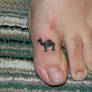 camel toe 2