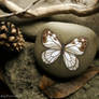 White Pine Butterfly, male