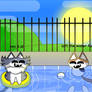 catto and big boi having fun in the pool