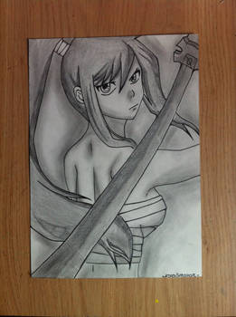 Erza Scarlet from Fairy Tail