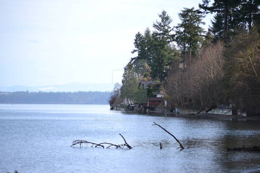 Houses on the Water 1