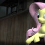 Gmod: Fluttershy