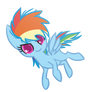 Rainbow filly