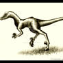 Raptor -Yellow Version-