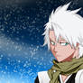 Hitsugaya Toushiro