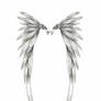 Angel Wing Tattoo Design